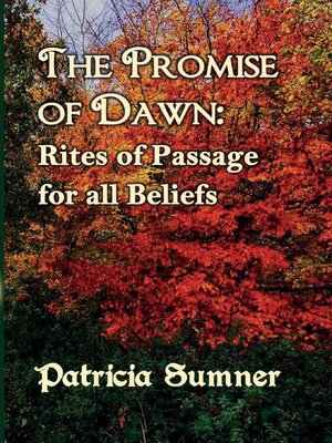 cover image of The Promise of Dawn